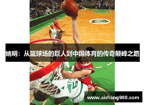 姚明：从篮球场的巨人到中国体育的传奇颠峰之路