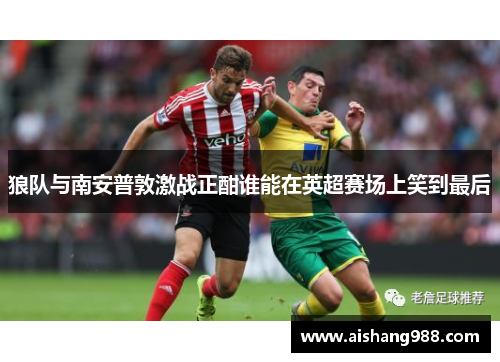 狼队与南安普敦激战正酣谁能在英超赛场上笑到最后